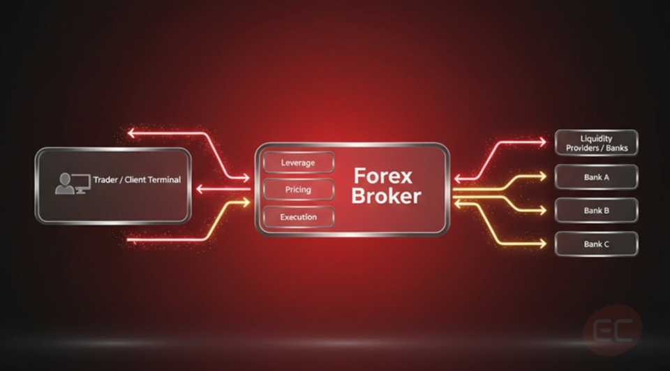 Diagram showing forex brokers as one of the key players in forex markets connecting retail traders to other forex market participants