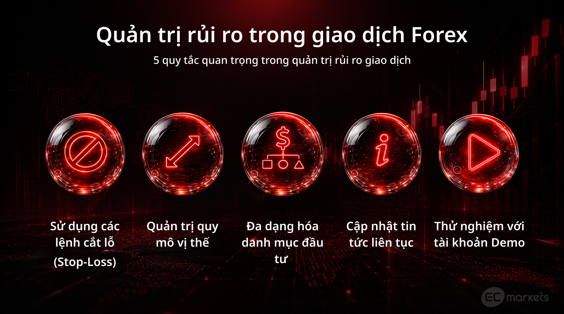 Năm quy tắc quản lý rủi ro trong giao dịch Forex gồm Stop Loss, quy mô vị thế, đa dạng hóa, cập nhật thị trường và tài khoản Demo.