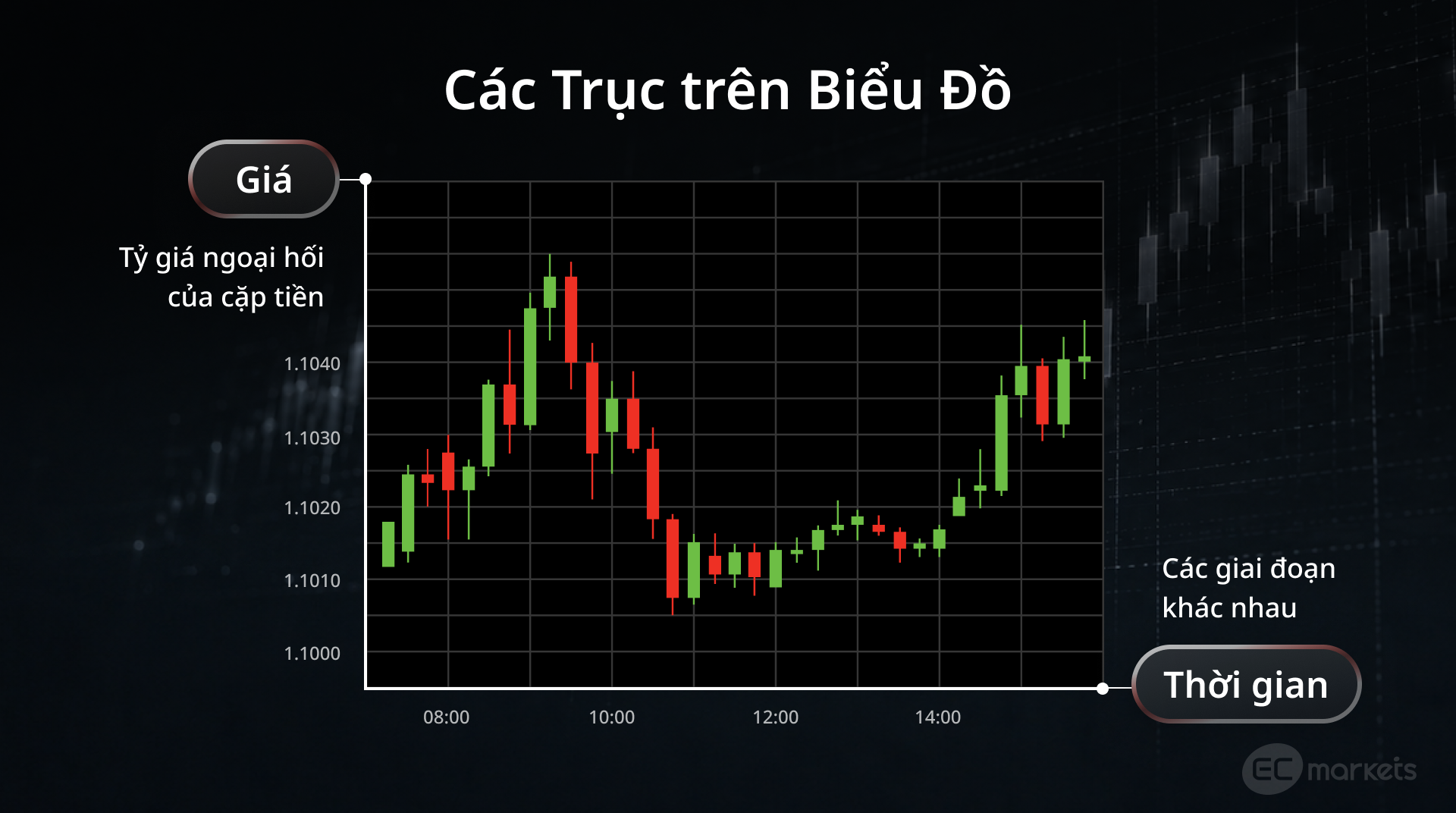 Cấu trúc cơ bản của biểu đồ Forex gồm các trục giá và thời gian