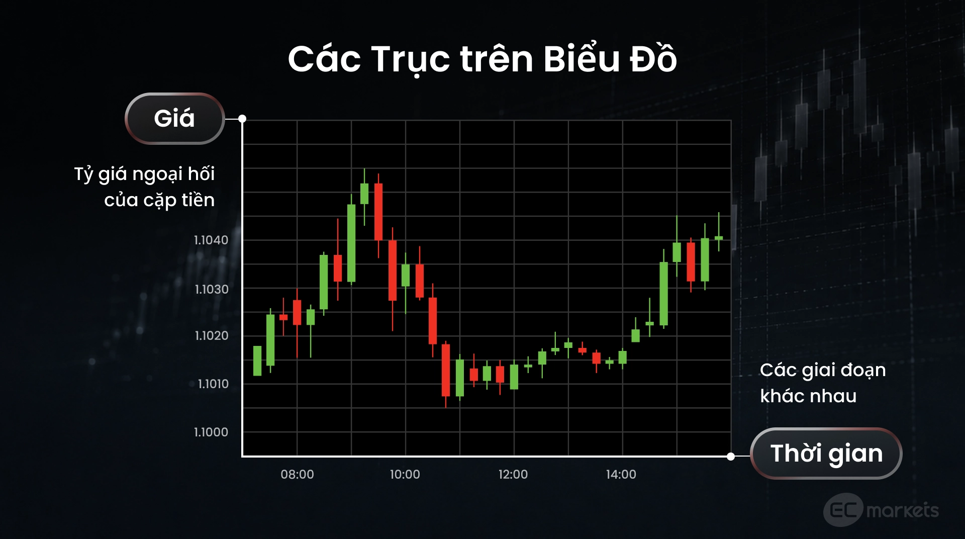 Cấu trúc cơ bản của biểu đồ Forex gồm các trục giá và thời gian