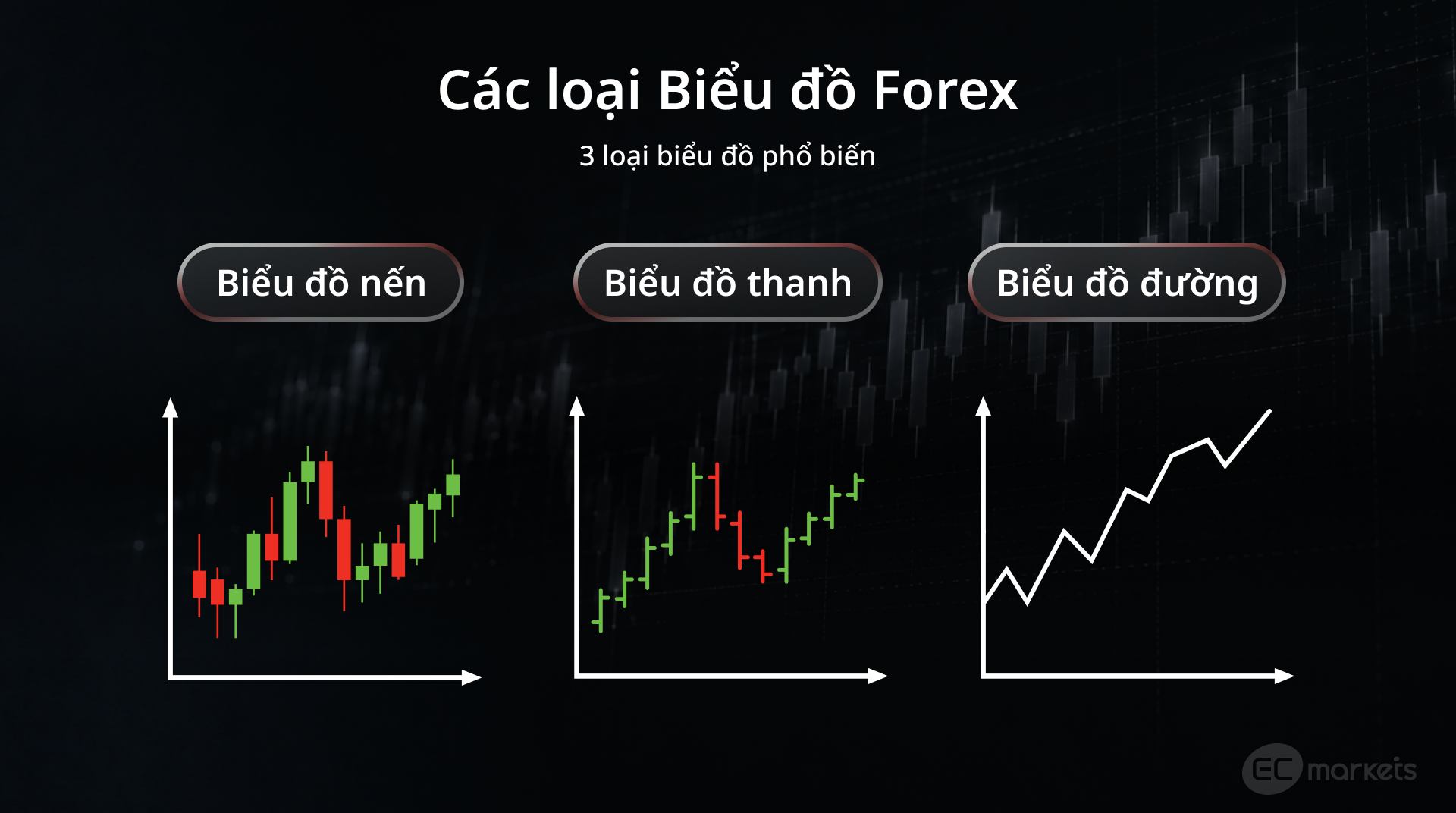 Ba loại biểu đồ Forex phổ biến gồm Biểu đồ Nến, Biểu đồ thanh và Biểu đồ đường