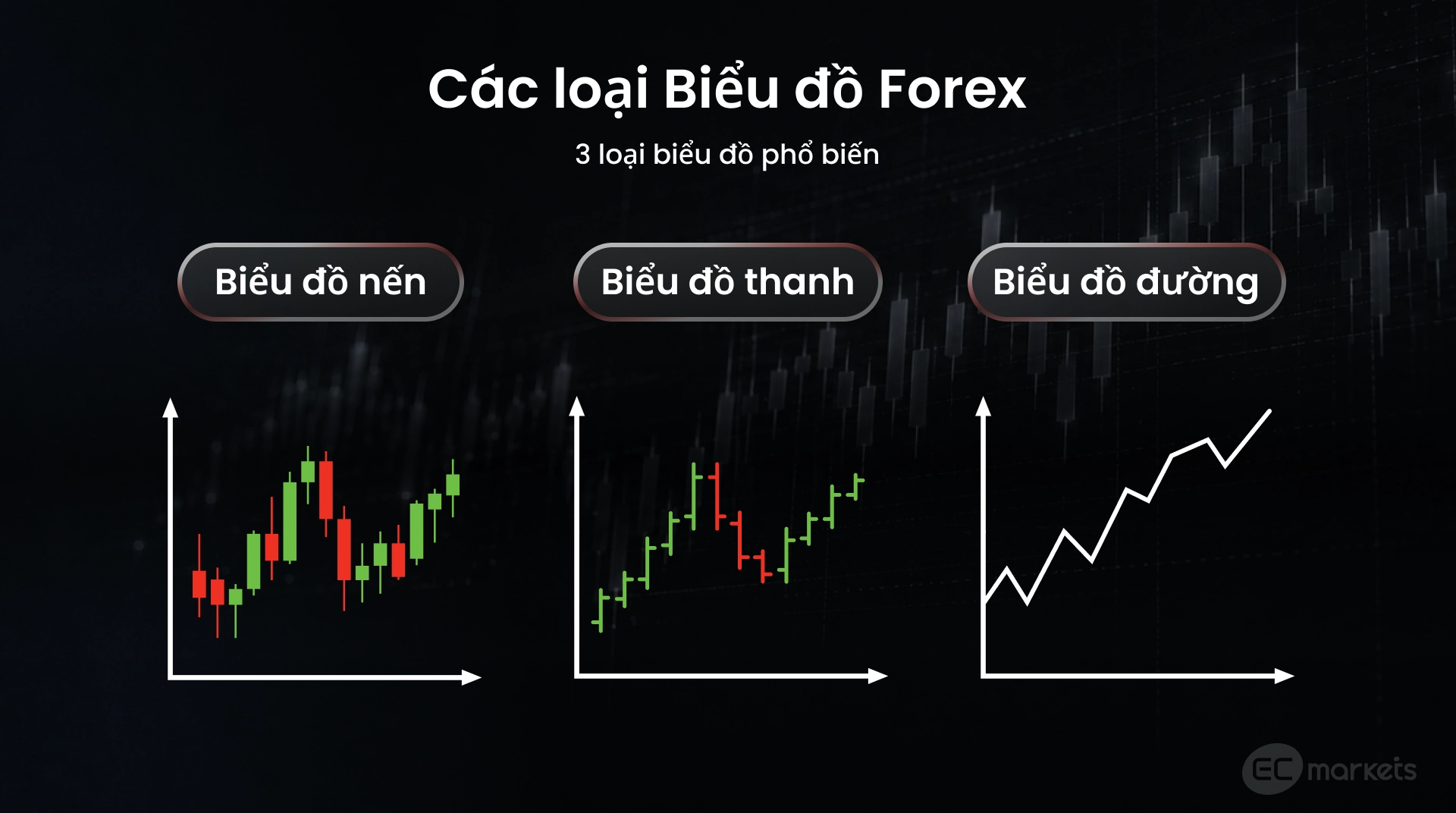 Ba loại biểu đồ Forex phổ biến gồm Biểu đồ Nến, Biểu đồ thanh và Biểu đồ đường