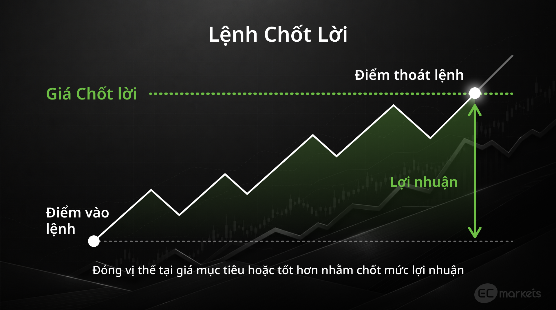 Hình 6: Minh họa vị trí Take Profit đối với một vị thế mua | Các loại lệnh trong Forex