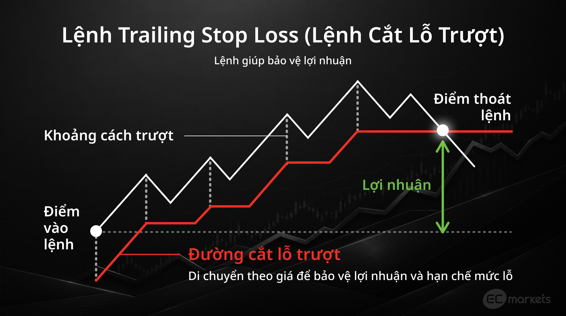 Hình 5: Minh họa cách Trailing Stop Loss dịch chuyển theo hướng biến động có lợi | Các loại lệnh trong Forex