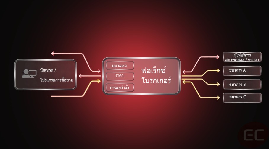 แผนผังฟอเร็กซ์โบรกเกอร์