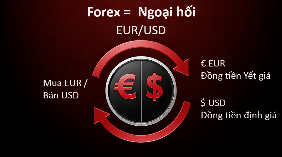 Giao dịch Forex là gì và nó hoạt động như thế nào? Hình minh họa quy trình trao đổi tiền tệ cho người mới bắt đầu