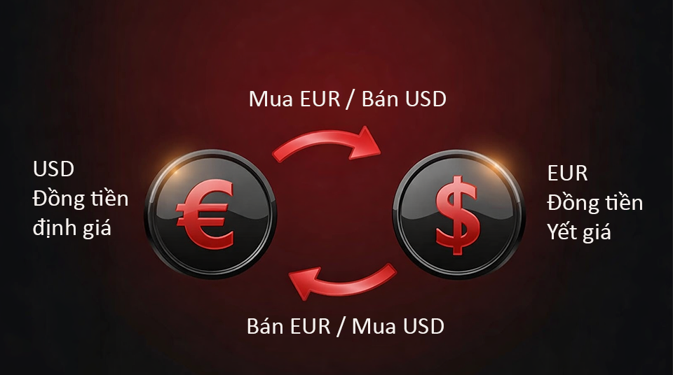 Ví dụ giao dịch Forex EUR/USD minh họa cách hoạt động của thị trường tiền tệ