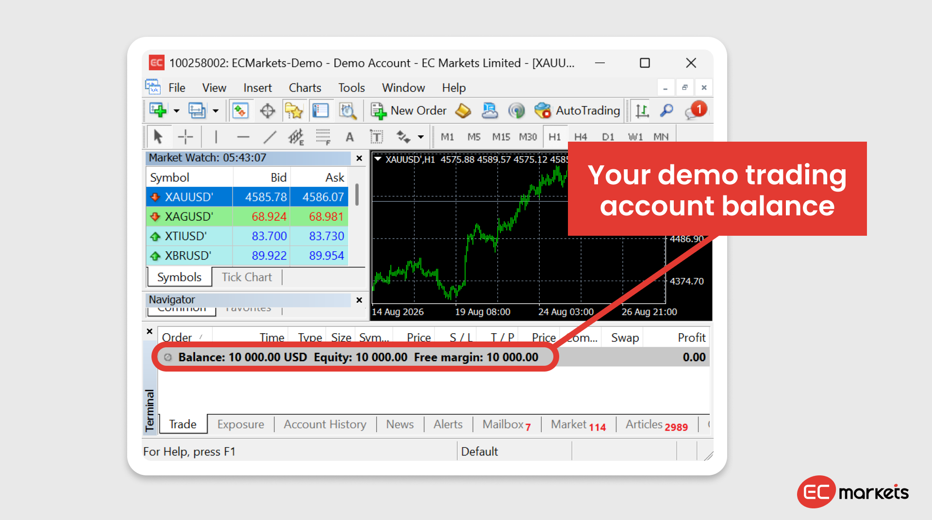 Demonstration of how to see your demo trading account balance in MT4